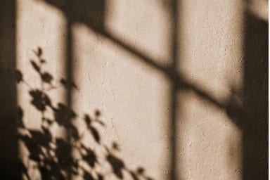 Leaf shadow across plaster.