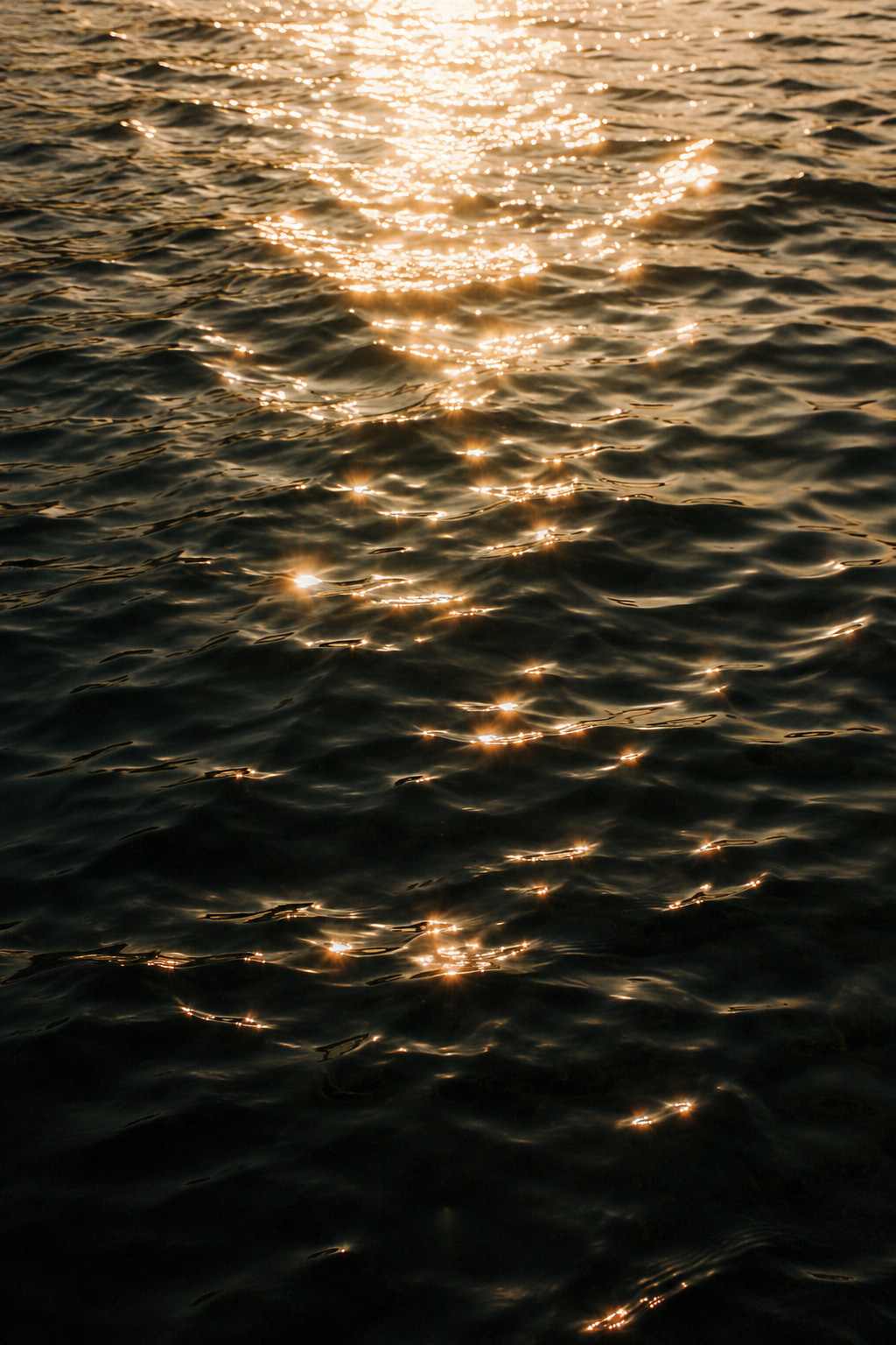 Golden evening light scattering across dark rippling water.